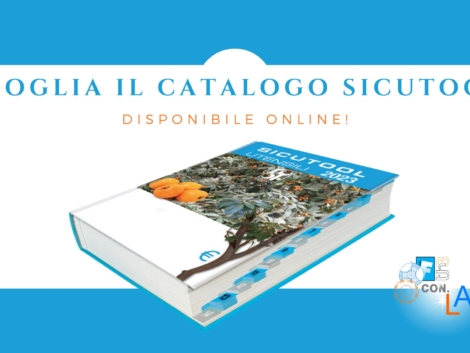 IMMAGINE COPERTIANA SICUTOOL CATALOGO GRUPPO CONLAF